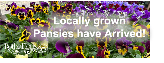 Flower Delivery to Philadelphia by Rothe Florists